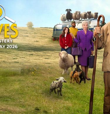 The Sheep Detectives
